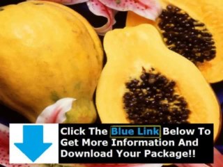 Cure For Leaky Gut + Leaky Gut Cure Program