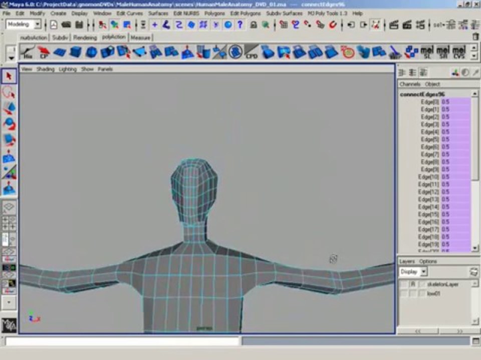 The Gnomon Workshop - ZBrush - Digital Sculpting - Human Anatomy - 01.dx50.mp3