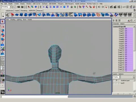 The Gnomon Workshop - ZBrush - Digital Sculpting - Human Anatomy - 01.dx50.mp3