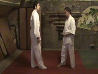 Ai hanmi jodan gyaku yoko guruma tettsui uchi