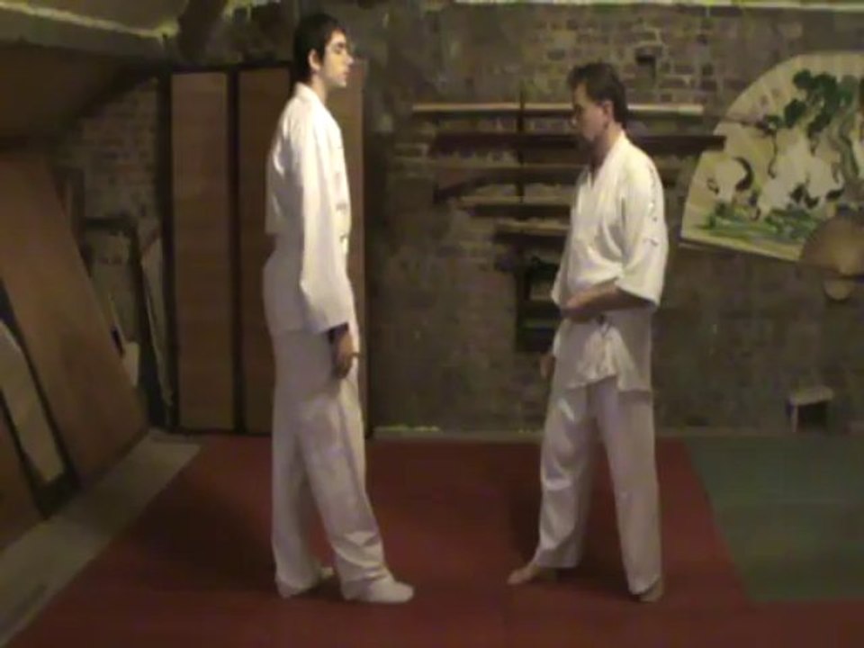 Ai hanmi jodan gyaku yoko guruma tettsui uchi