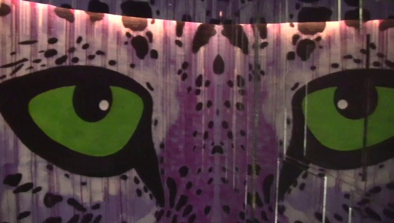 TOUR PARIS 13 - Mosko et Seth - août 2013