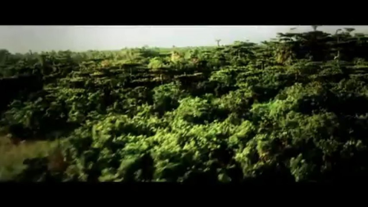 The Returned book trailer