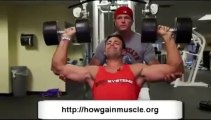 Bulk Then Cut - The Muscle Maximizer - How Gain Muscle