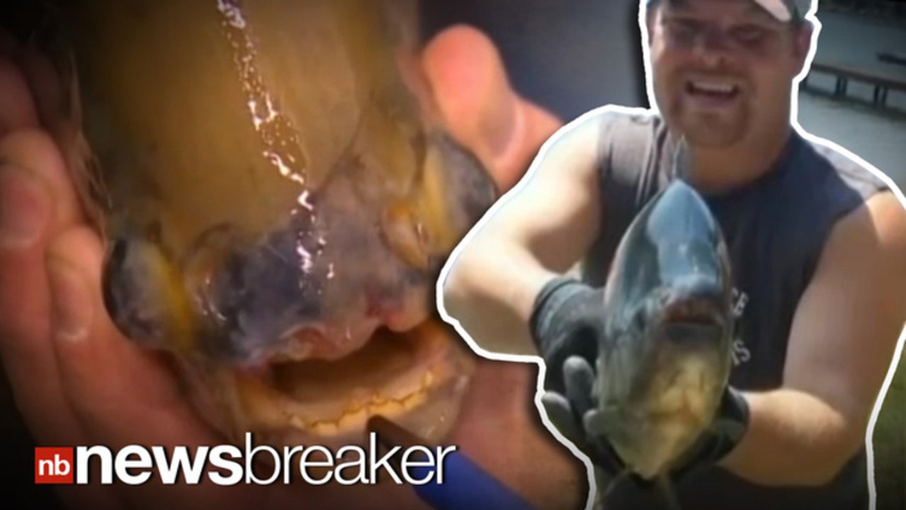 TIME TO PANIC?: Testicle Eating Fish Caught in Another US State