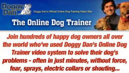 Training For Dog - The Online Dog Trainer