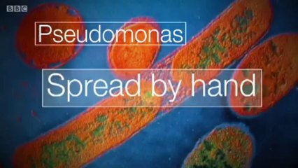 BBC Points West - 30/9/13