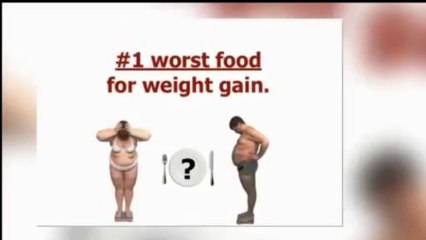 Primal Burn Fat Burner System What to eat to lose weight