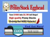 The Penny Stock Egghead - Penny Stocks to Invest In - How to Buy Penny Stocks