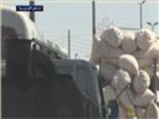 مخاطر تهدد محصول القطن في الرقة