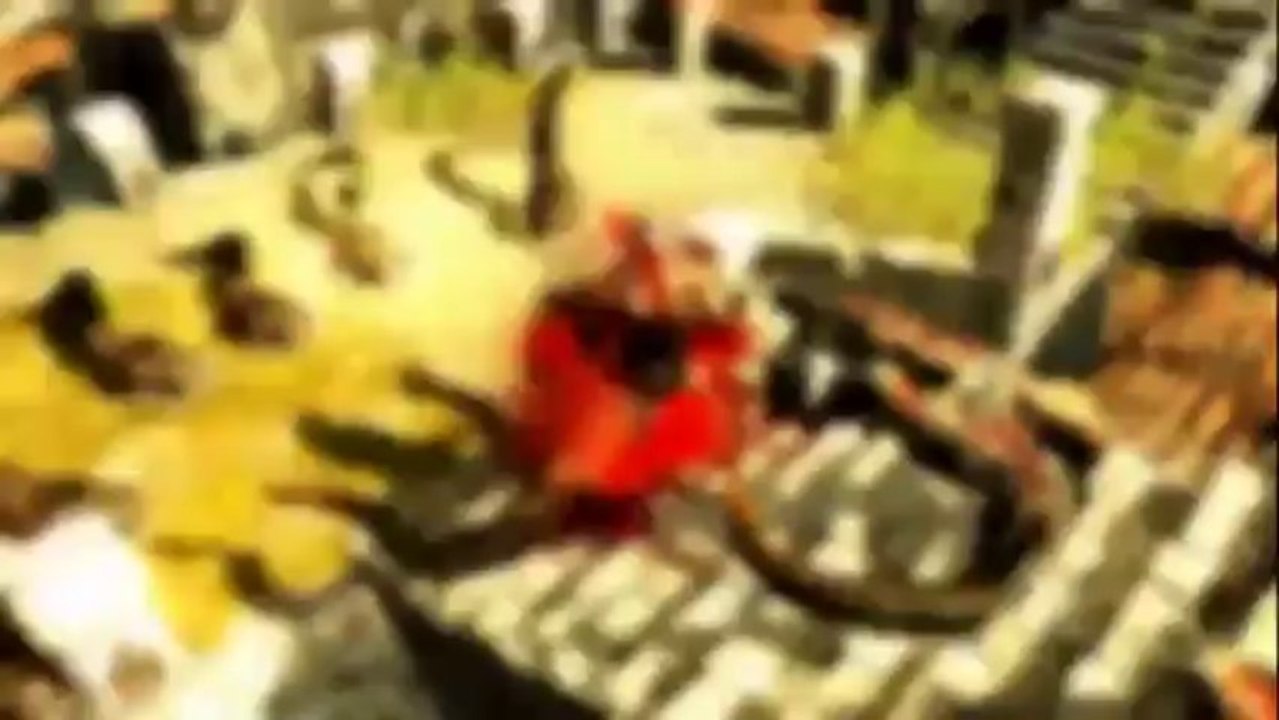 GAMEWAR.COM - Buy Path of Exile Account - Beta Trailer