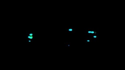 UFO: (Craft). E.T. Is Ready And Waiting. Let's Go. 2-10-2013