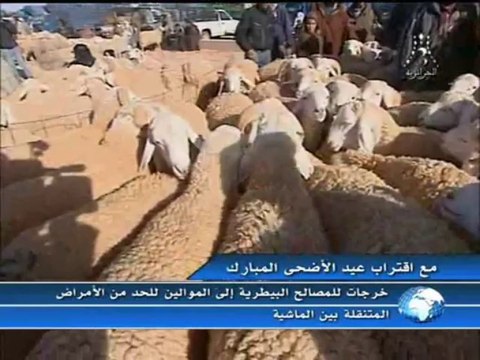 Journée nationale de la vulgarisation agricole le 01 octobre 2013 à Tiaret (JT-ENTV)