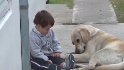 Haciendose amigos