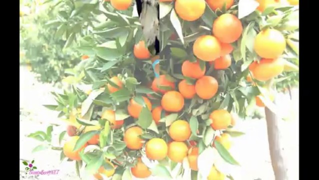 DOLCE & GABBANA Homme Light Blue Eau De Toilette