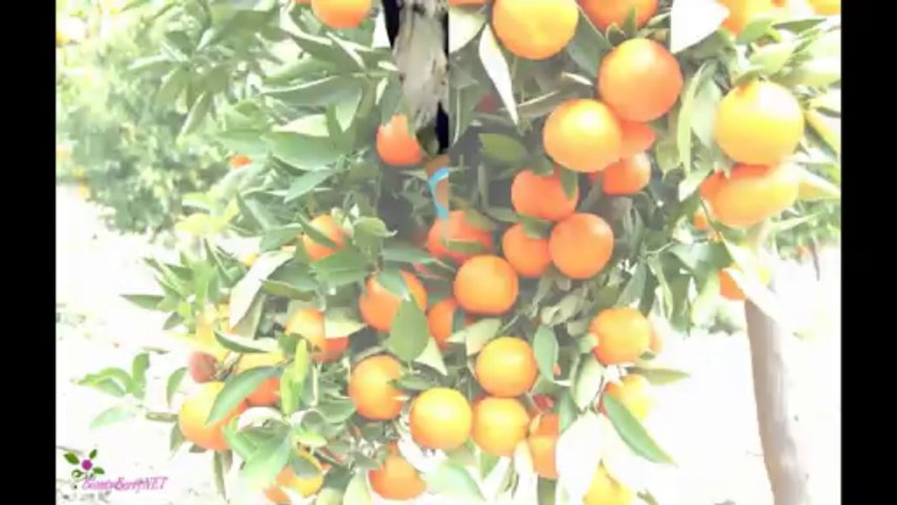 DOLCE & GABBANA Homme Light Blue Eau De Toilette