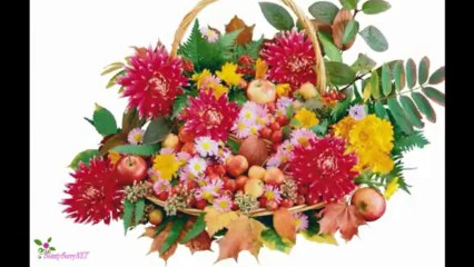 CHOPARD Enchanted Eau De Parfum Spray