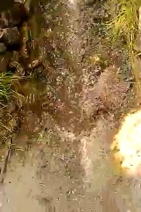 VIDEO0213