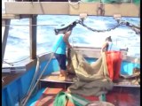 TG 01.10.13 No al pesce importato dall'estero, protestano i pescatori pugliesi