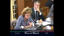 Roma - Audizione sbilanciamoci e rete italiana disarmo (01.10.13)