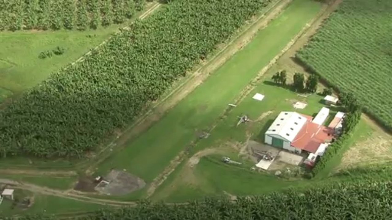 Ville de Basse-Pointe : Aéroport et Plantations de canne à sucre et bananes