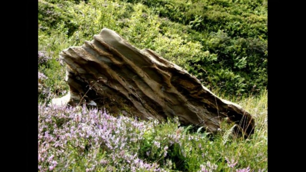 Le Col d Iseye