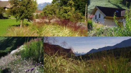 Ferme de Gy en couleurs automnales-M