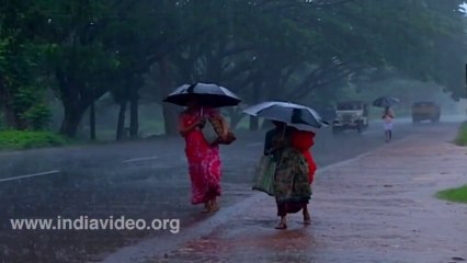 Monsoons rainfall Kerala Invis Multimedia DVD