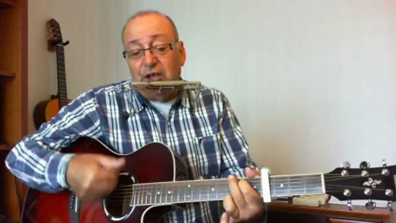 The wild rover (The Dubliners) Cover