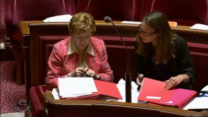 PJL modernisation de l'action publique territoriale et d'affirmation des métropoles 25