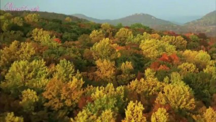 XIII.The.Series.2011.S01E05.Bitterroot.720p.WEB-DL.AVC-iON-muxed_004