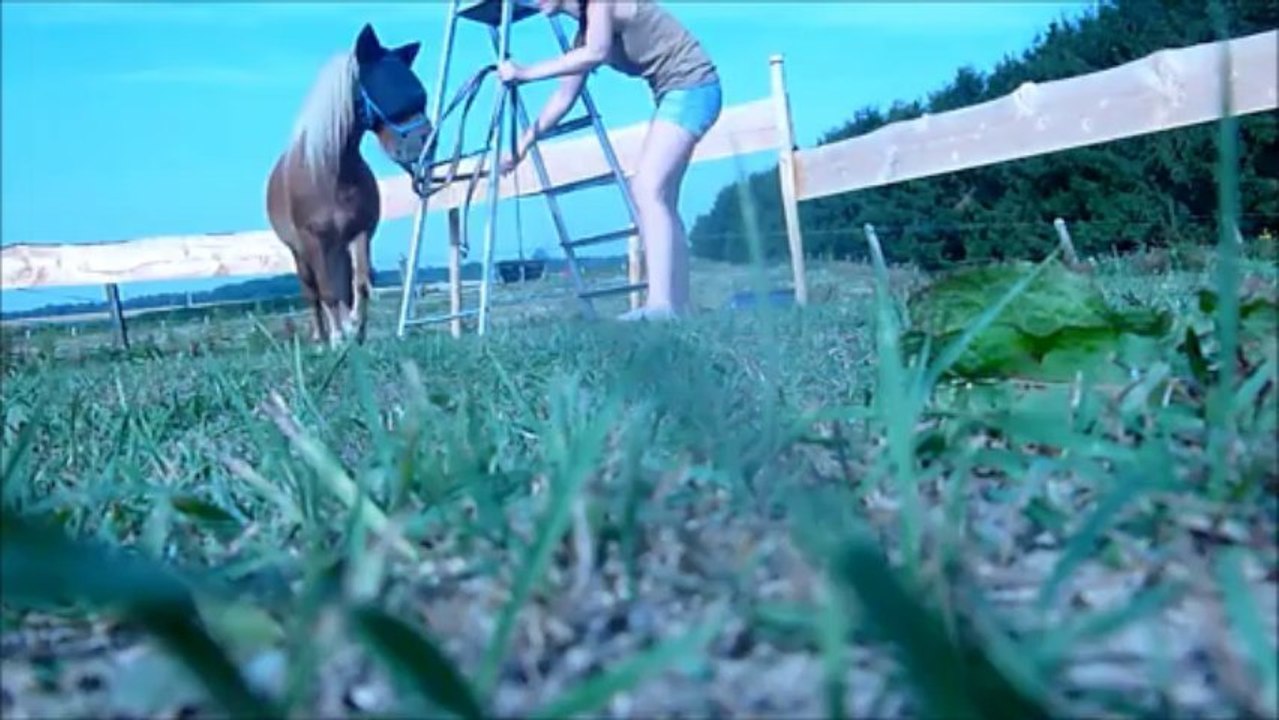 Poly vidéo 2