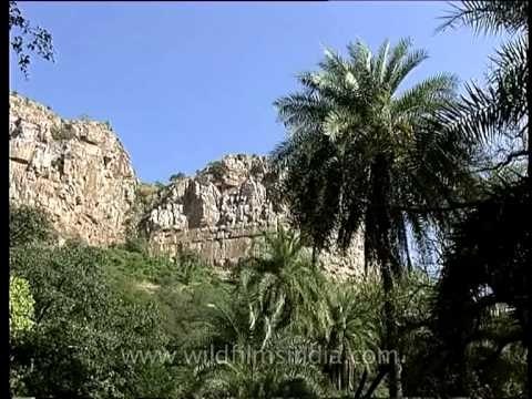 Walls of rock around Pandupole valley in Sariska National Park in Rajasthan