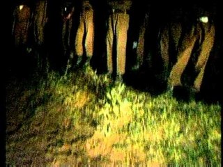 Delhi plane crash tragedy