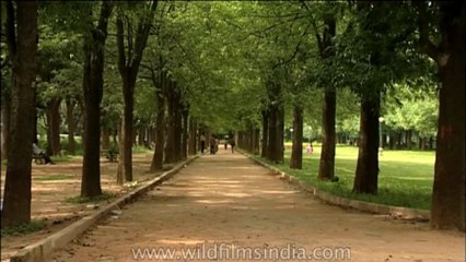 DVD 263 karnataka bangalore 6