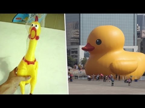 Giant yellow duck fad: young couple fight over the yellow duck