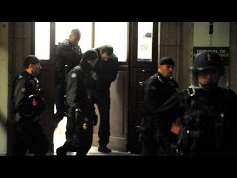 Pink Panther jewel thief arrested in France