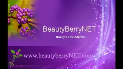 DOLCE and GABBANA The One Eau De Parfum Spray