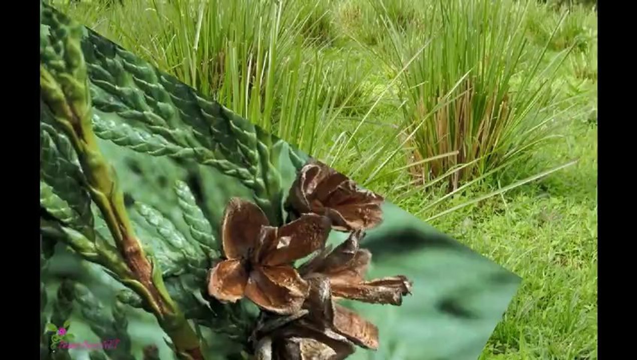 GIORGIO ARMANI Mania Homme Eau De Toilette Spray