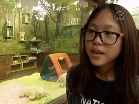 Зоопарки Лондона и Сеула показали тигрят и львят