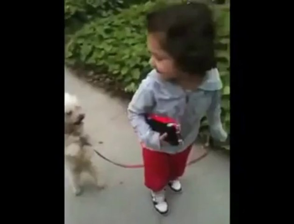 Walking The Dog - Funny Videos at Fully :)(: Silly