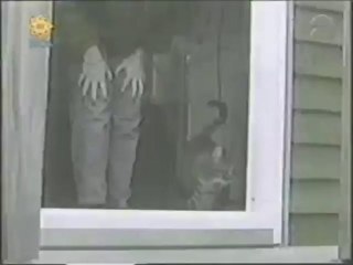 Cats reaction with Door - Funny Videos at Fully :)(: Silly