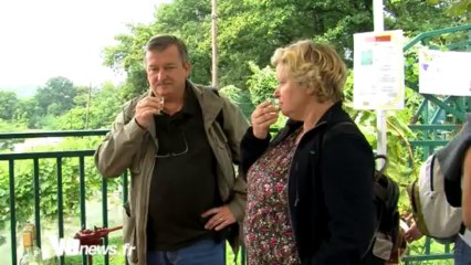 Le vin de Sannois pas si mal