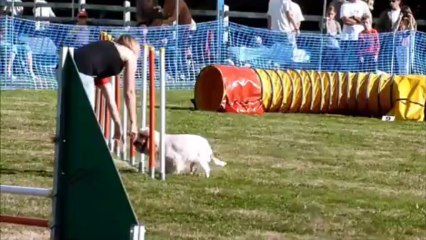 jumping agility elfie