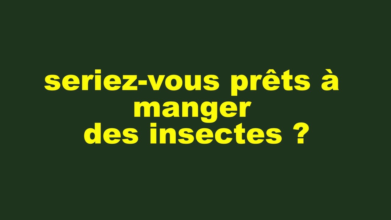 Manger des insectes ?