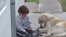 Dog befriending and interacting with Down Syndrome Boy!!
