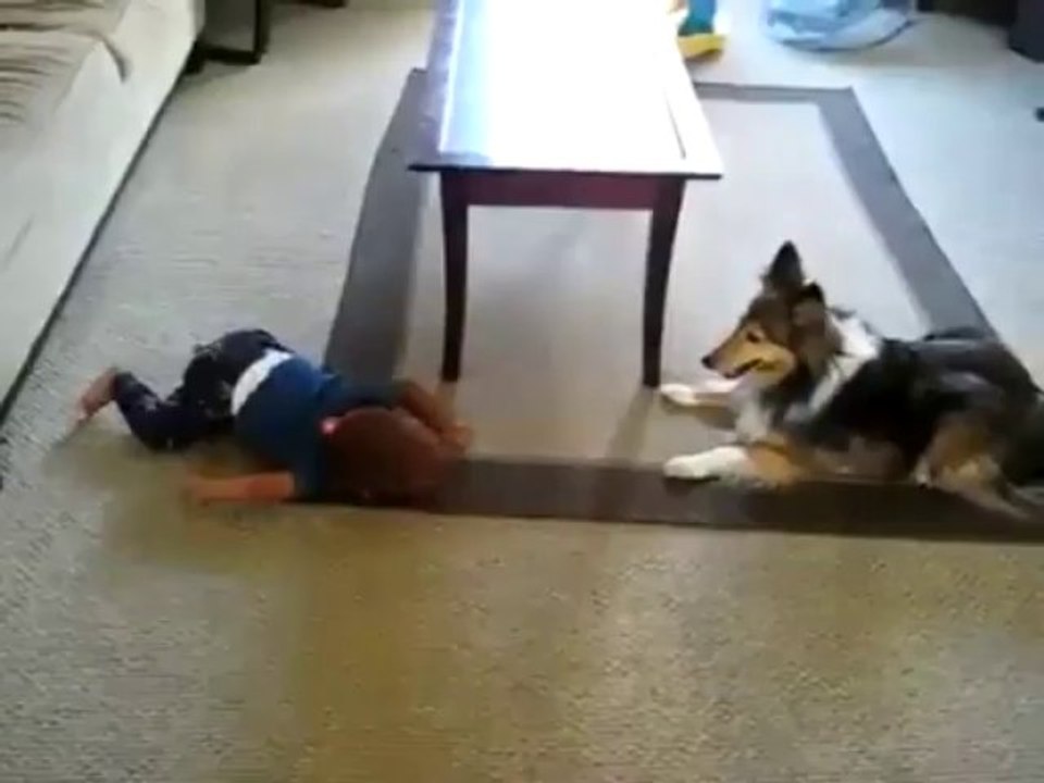 Baby and Dog Play - Funny Videos at Fully :)(: Silly