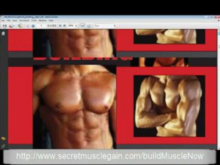 Vince Del Monte - No Nonsense Muscle Building Review