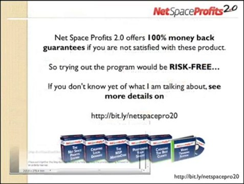 Net Space Profits 2.0 , Earning Money From Home?
