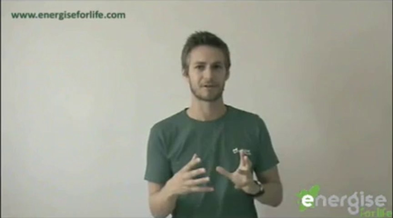 Energise Alkaline Diet Plan: Intro to 12-Week Alkaline Diet Course